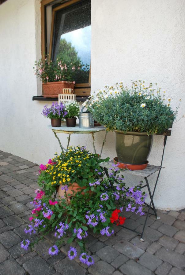 Homestay Cozy Room Markdorf Luaran gambar